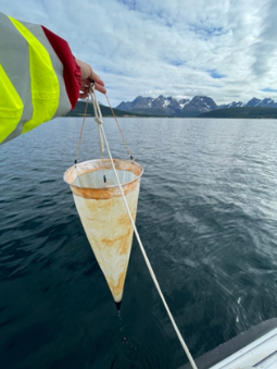 Zooplankton sampling