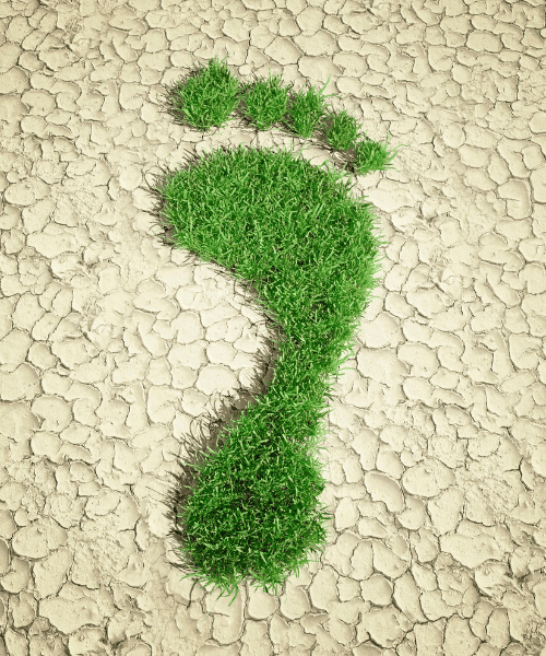 A footprint made from grass on a stone background