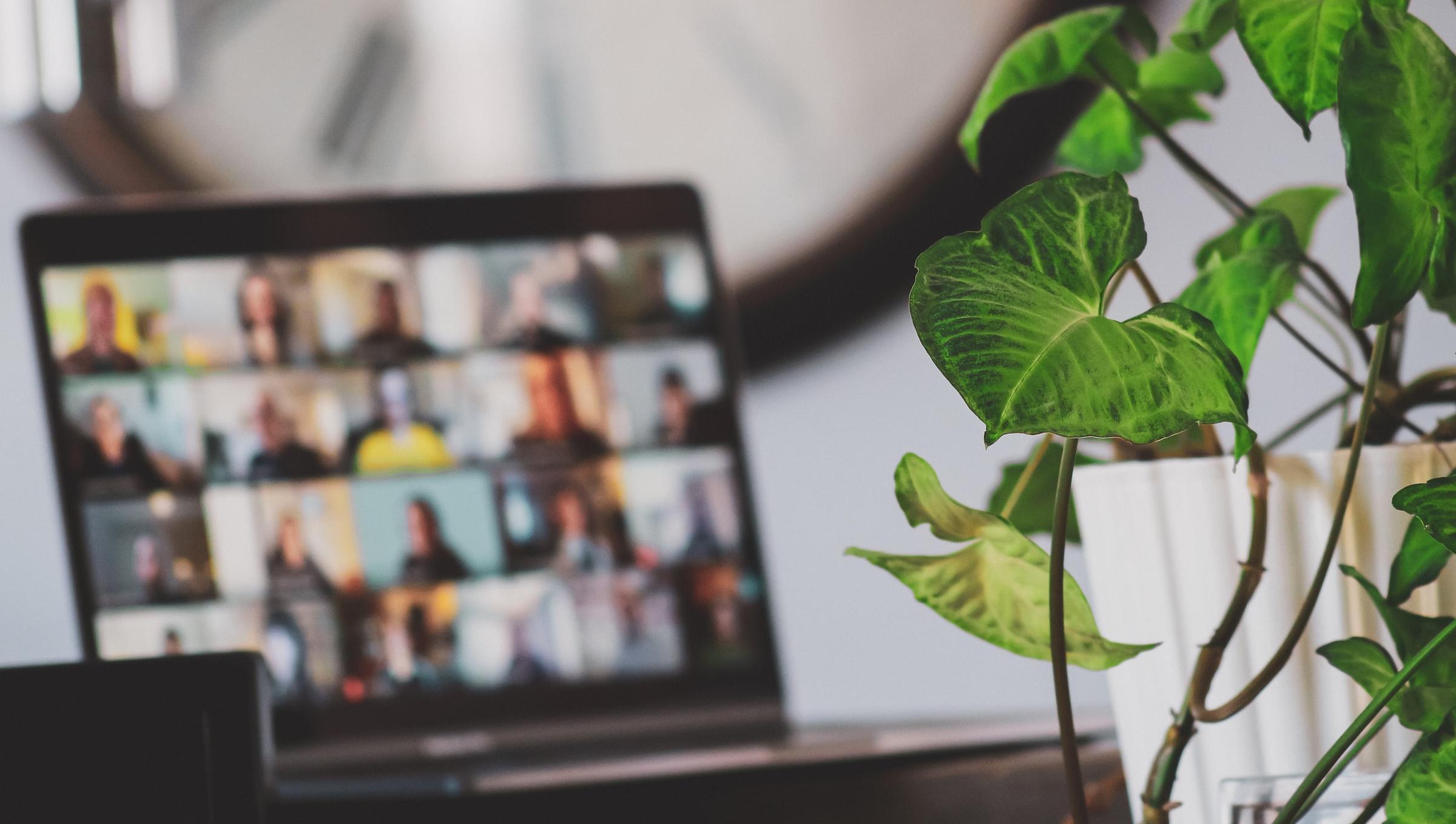 Online meeting, blurred in background cropped