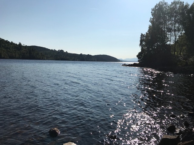 Lake that has light reflections making it sparkle, and a blue sky.