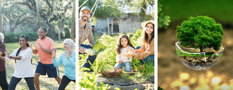 People doing tai chi, a family in a vegetable garden and a tree inside a cracked sphere.