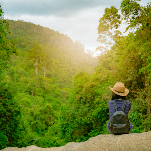 TA woman sitting on a rock overlooking the forest.