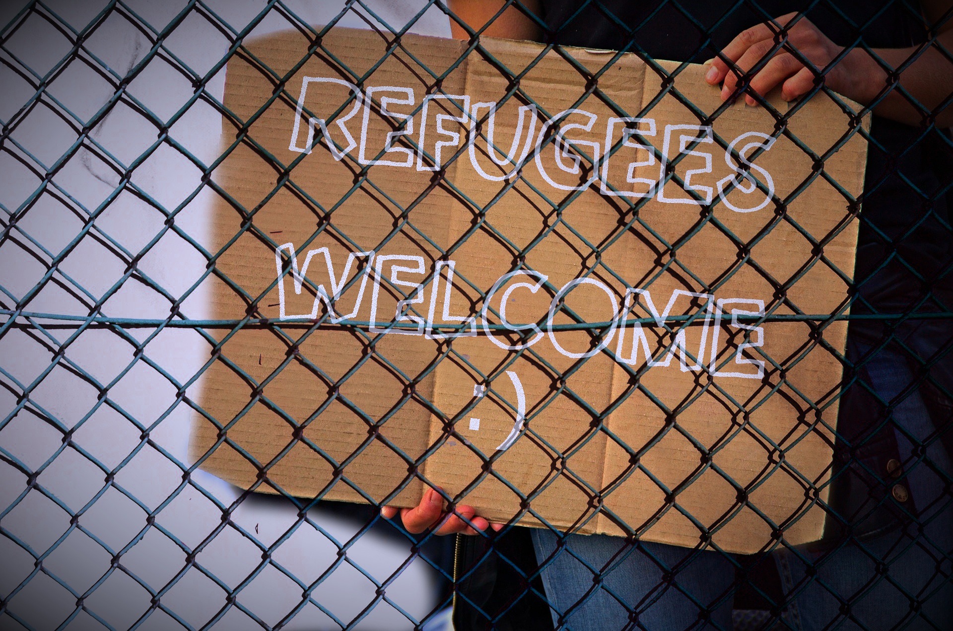 Refugees sign