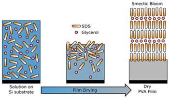 Langmuir 34 1410 (2018)