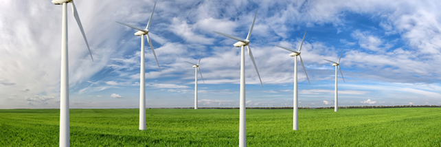 Wind turbines in a field