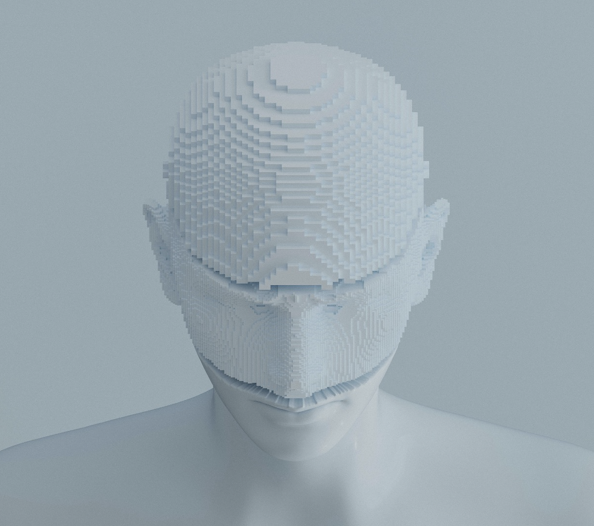 A human head. The upper half is made of small white blocks, the lower half is human.