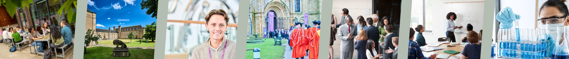 Doctoral Journey Banner