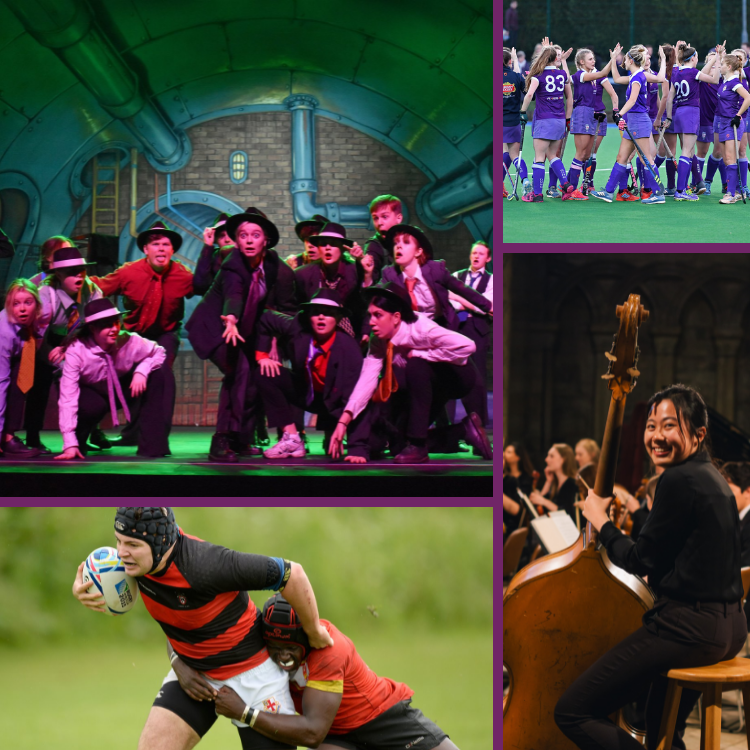 WSE Collage 2 Purple Background