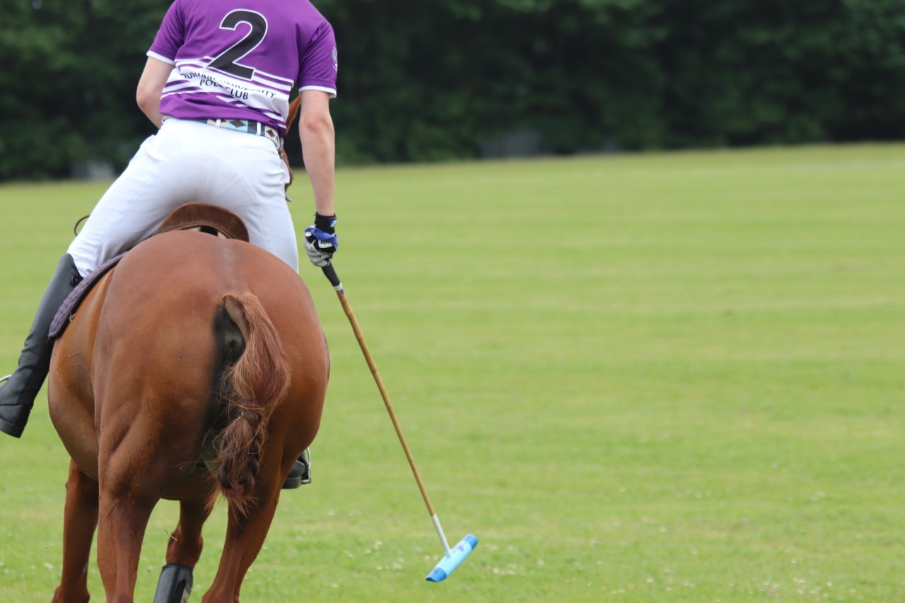 Polo Horse