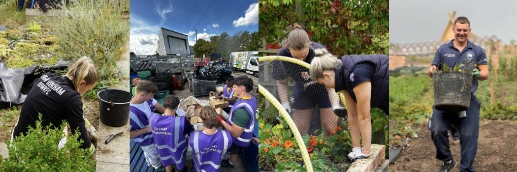 Rugby club athletes volunteering.