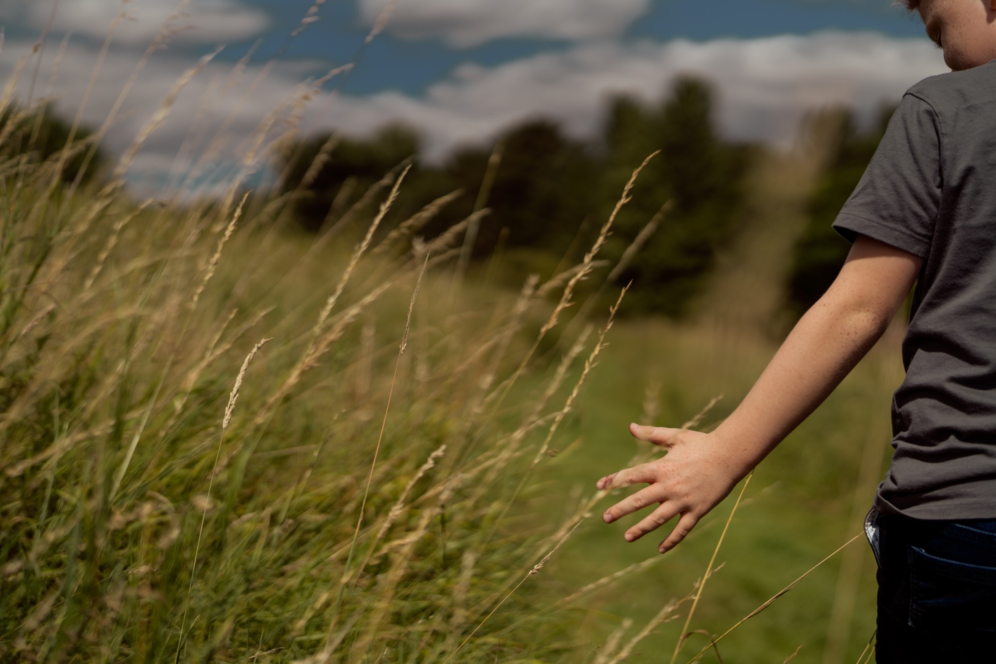 TA child walking through some tall grass and running their hand through the long blades of grass.