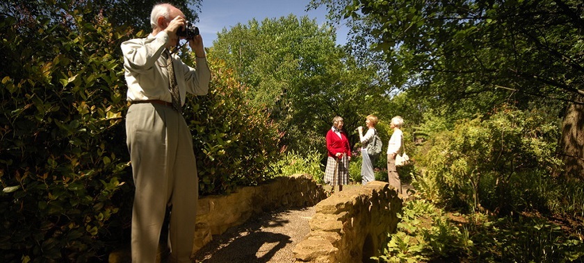 In the foreground, a person is taking a photo of some trees at the Botanic Garden. In the background, a group of people are talking and smiling.